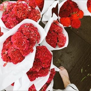 Meet your Posher, Meredith